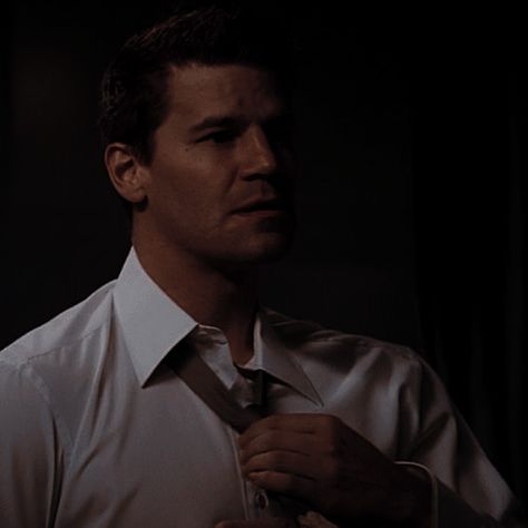 Sealy Booth, Booth Aesthetic, Seeley Booth, Booth And Bones, Bones Tv Show, David Boreanaz, Tom Hardy, Tv Series, Bones