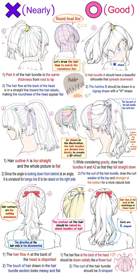 Takuya's Drawing (@takuya_kakikata) on X How To Draw Hairstyles, Draw Hairstyles, Hair Tied Back, Anime Ponytail, Ponytail Drawing, Hair In Ponytail, Two Ponytail Hairstyles, Tie Drawing, Drawing Hair Tutorial