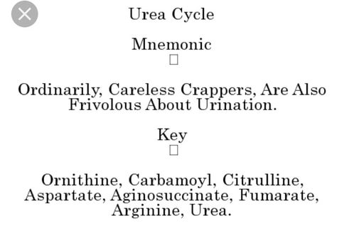 Urea Cycle. Urea Cycle, Biochemistry Notes, Medical School Essentials, Med School, Biochemistry, School Essentials, Medical School, Pretty Words, School Stuff