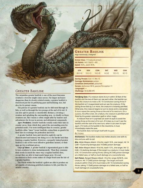 Dnd Stats, Dungeon Master Screen, Dungeons And Dragons Classes, Dnd 5e Homebrew, D D Monsters, Dnd Dragons, Dragon Rpg, Dungeons And Dragons Dice, Dungeons And Dragons Game