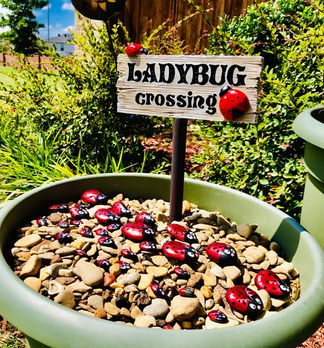 Ladybug Garden Decor, Ladybug Crossing, Bug Garden, Ladybug Decor, Butterfly Farm, Theme Garden, Pet Theme, Ladybug Decorations, Ladybug Garden