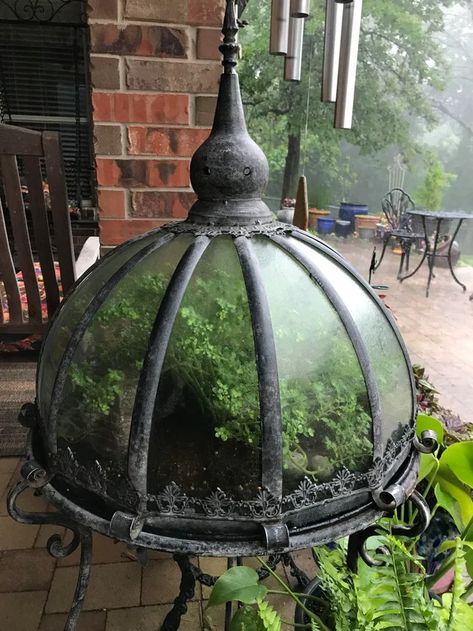 My aunts beautiful terrarium. : r/terrariums Victorian Terrariums, Goth Houses, Goth House, Beautiful Terrariums, Garden Terrarium, Harry Potter 2, Vivarium, The Greenhouse, Dream House Interior