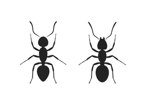 Ants, Insects, Cricut, Clip Art, White, Art