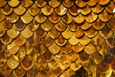 Golden Fish Scales | Flickr - Photo Sharing!... https://www.flickr.com/photos/farhannasir/4576882061/ Scales Aesthetic, Gold Scales, Golden Fish, High Elf, Mermaid Aesthetic, Gold Aesthetic, Aesthetic Tumblr, Gold Fish, Fish Scales