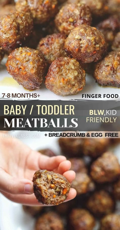 beef meatballs for baby Blw Recipes Dairy Free, Blw Meatballs Beef, Zucchini Tots For Baby, Blw Steak, Easy Lunches For 12 Month Old, Egg Free Blw, Blw No Egg, Baby Meatballs Beef, Toddler Meatballs Hidden Veggies