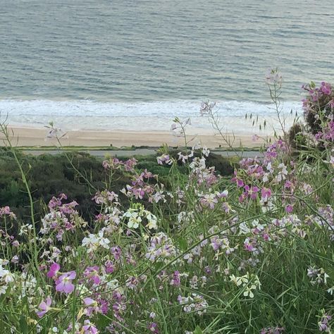 Michaela Watson, Spring Vibes, Purple Aesthetic, Tom Cruise, Pretty Places, Green Aesthetic, Summer Aesthetic, Mother Earth, Pretty Flowers