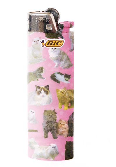 a bic cat lighter. omg i want a whole case of them Pink Lighter, Thrift List, Bic Lighter, Cool Lighters, Cat Light, Light My Fire, Puff And Pass, Oui Oui, Just Girly Things