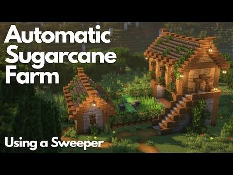 AUTOMATIC SUGARCANE FARM | Minecraft Tutorial | Java [1.21+] - YouTube Automatic Farms Minecraft, Sugarcane Farm Minecraft, Sugar Cane Farm Minecraft, Minecraft Automatic Farm, Sugarcane Farm, Sugar Cane Farm, Farm Minecraft, Minecraft Farm, Minecraft Tutorial