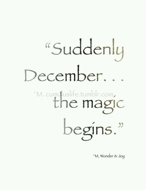 Magical December December Magic, Christmas Quotes And Sayings, Journal Year, Christmas Glamour, December Quotes, Hello January, Journal 2024, Winter Things, Equestrian Chic