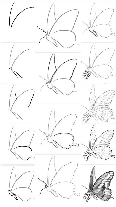 How To Draw Buterfluffy, Butterfly Sketch Tutorial, How Do You Draw A Butterfly, Drawing Begginers Simple, Beginner Pencil Sketches, How To Draw Butterflies Step By Step, Butterfly Drawing Reference, Easy Drawings Step By Step Sketches, How To Draw A Butterfly Step By Step