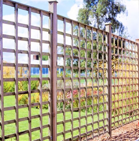 Landscaping Elements, Cactus Garden Landscaping, Garden Lattice, Large Trellis, Decorative Fence Panels, Fence Planning, Building A Trellis, Garden Landscaping Diy, Build A Garden