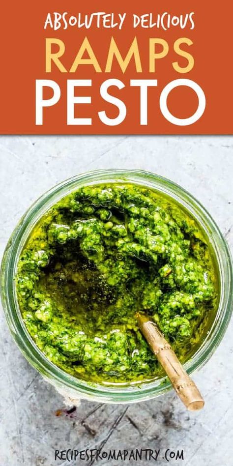 Looking for an awesome Ramps Pesto Recipe? Well, this wild garlic pesto needs only 6 ingredients and your food processor! Freezer friendly, budget savvy, super quick this homemade Ramsons Pesto is just what you need. #wildgarlicpesto #wildgarlicpestorecipe #pesto #pestorecipe #rampspesto #ransomespesto #wildgarlic #wildgarlicrecipes Garlic Pesto Recipe, Grilled Vegetable Sandwich, Ramp Pesto, Easy Easter Dinner, Gluten Free Pesto, Wild Garlic Pesto, Easy Easter Recipes, Garlic Pesto, Wild Garlic