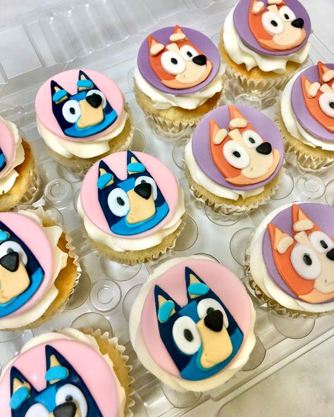 Bluey Theme Cupcakes, Bluey Bingo Cupcakes, Bluey And Bingo Cupcakes, Bluey Cupcakes Ideas, Bluey Cupcakes For A Girl, Bluey Themed Cupcakes, Bluey Cupcake Cakes, Bluey Cupcake Cake, Bingo Cupcakes