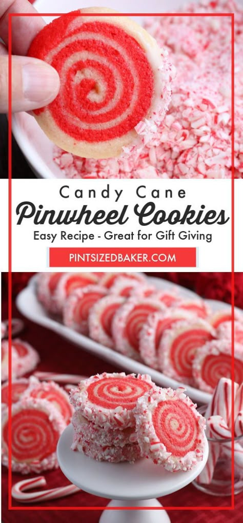 Peppermint Cookie Recipe, Cane Decorations, Hanukkah Recipes, Chocolate Marshmallow Cookies, Christmas Cookies Packaging, Cookies Video, Chocolate Chip Shortbread Cookies, Candy Cane Decorations, Pinwheel Cookies