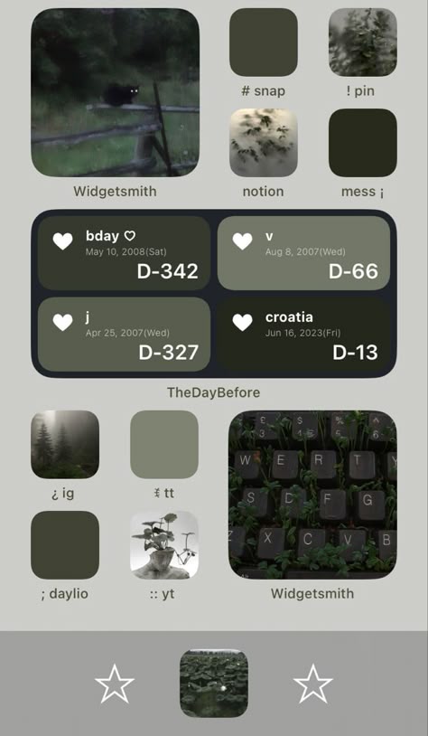 Ios Green Theme, Dark Green Homescreen Layout, Black And Green Homescreen, Grey Homescreen Ideas, Dark Green Phone Theme, Dark Green Home Screen, Ios 16 Home Screen Ideas Green, Homescreen Decor Ideas, Green Home Screen Layout