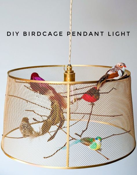 Maximalist Ceiling Light, Diy Hanging Lamp Shade Ideas, Birdcage Chandelier Diy, Diy Light Fixtures Ceiling, Bird Cage Lamp Diy, Bird Cage Pendant Light, Bird Cage Lights Hanging, Bird Cage Light, Antique Birdcage Chandelier