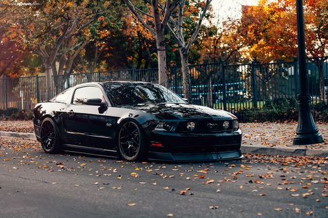 Stealthy Black Stanced Ford Mustang 5.0 Customized to Impress Ferrari Car Aesthetic, S197 Mustang, 2023 Ferrari, 2012 Mustang, Black Mustang, 2014 Mustang, 2012 Ford Mustang, Cars Ferrari, Ferrari Cars