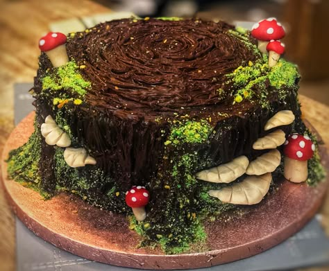 Chocolate fudge cake, toadstools, moss, tree trunk, mushrooms. Cake decorating Mushroom Cake, Woodland Cake, Lumberjack Party, Cute Baking, Fairy Party, Pretty Birthday Cakes, Cute Birthday Cakes, Seasonal Food, Cute Desserts