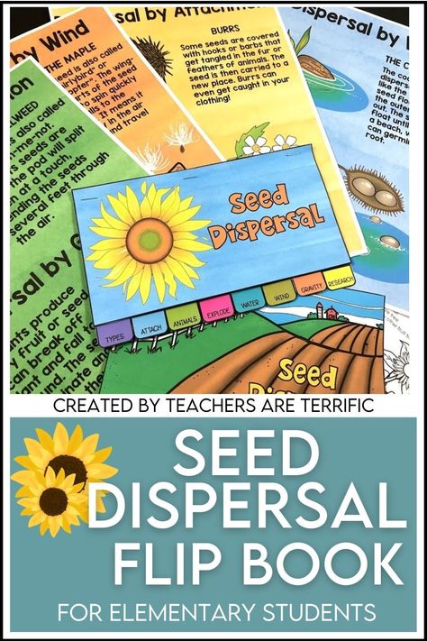 Students create a flip book by writing about different methods of seed dispersal. Perfect for elementary ages. Build A Bird Feeder, Projects For Elementary Students, Parts Of A Seed, Spring Stem, Flower Parts, Stem Projects For Kids, Around The Fur, Stem Classes, Seed Dispersal