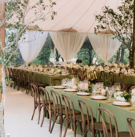 Kathleen Deery on Instagram: “Sometimes the simplest of designs is the most elegant. I loved the green, brown and touch of white theme. @jennyboomshakalaka…” Brown And Green Wedding, Beaulieu Garden, Wedding Planning Details, Wedding Theme Inspiration, Green Themed Wedding, Tent Reception, Martha Stewart Weddings, Brown And Green, J P