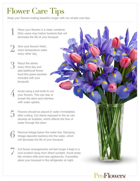 Simple care tips to help your cut flowers last longer. Download and print! How To Keep Your Flowers Last Longer, Best You Pick Flowers, Keeping Flowers Fresh Longer, How To Take Care Of Flowers In A Vase, How To Keep Flowers Fresh Longer Vase, Store Bought Flowers Tips, How To Make Flowers Last Longer In Vase, How To Take Care Of Flowers, How To Keep Flowers Alive Longer