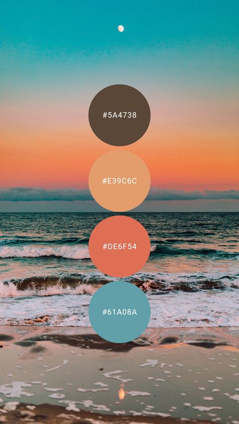 Teal And Coral Colour Palette, Teal And Coral Bathroom Ideas, Aqua Blue Color Palette Colour Schemes, Florida Home Color Palette, Sunset Inspired Decor, Color Palette Corals, Coral And Aqua Bedroom, Beach House Coral Colors, Beach Pallette Colour Palettes