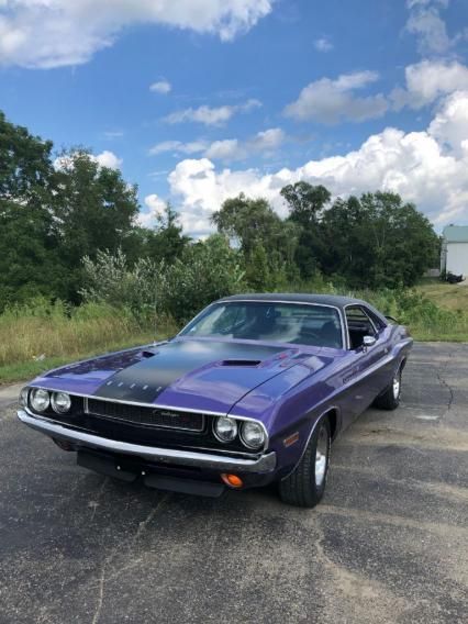 1970 Challenger, Dodge Muscle Cars, Ford Mustang Shelby Gt500, Mopar Muscle Cars, Cars Vintage, Classic Truck, Old Classic Cars, Ford Mustang Shelby, Mustang Shelby