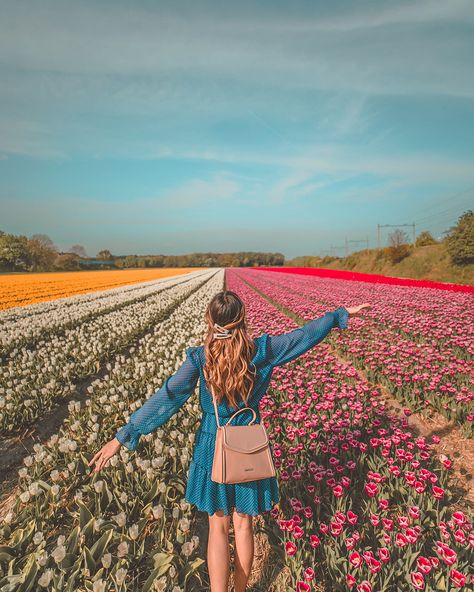 Netherlands Travel Diaries: 10 Things To Do in Amsterdam | The Lust Listt Amsterdam Tulips Aesthetic, Keukenhof Photoshoot, Tulip Fields Netherlands Aesthetic, Tulip Fields Photoshoot, Tulips Netherlands, Fields Photoshoot, Tulip Fields Netherlands, Europe Pictures, Tulips Holland