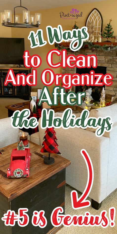 Organized Christmas Decorations, Homemaking Skills, Clean And Organize, Christmas Cleaning, Holiday Cleaning, Cleaning And Organizing, Holiday Organization, Family Tips, Christmas Organization