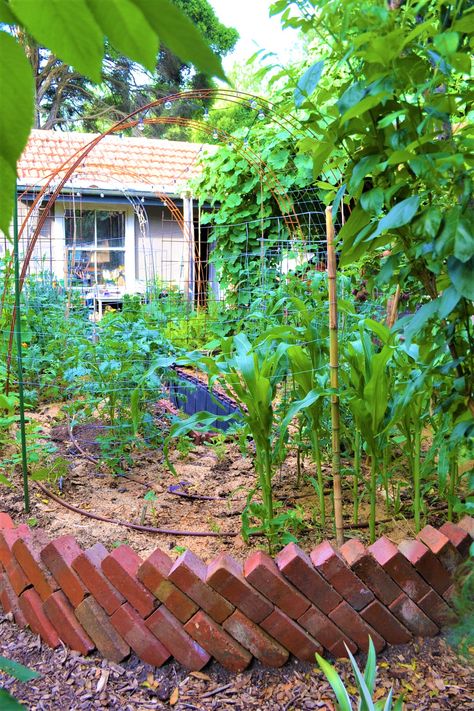 Raised bed gardens