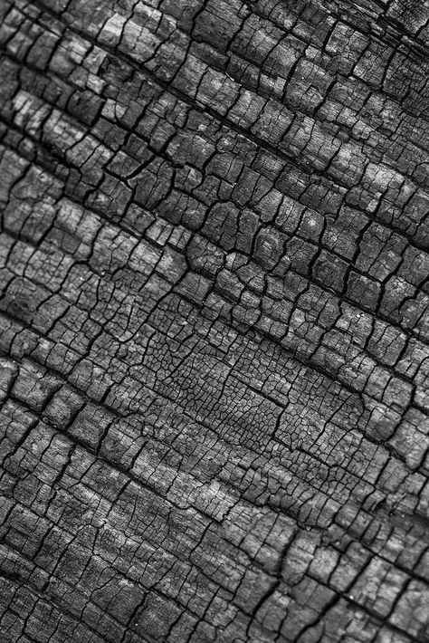 Charcoal texture background, abstract black design | free image by rawpixel.com / Teddy Charcoal Texture, Texture Nature, Nature Texture, Iphone Wallpaper Texture, Charcoal Wallpaper, Wood Charcoal, Wallpaper Texture, Photo Texture, Nature Background