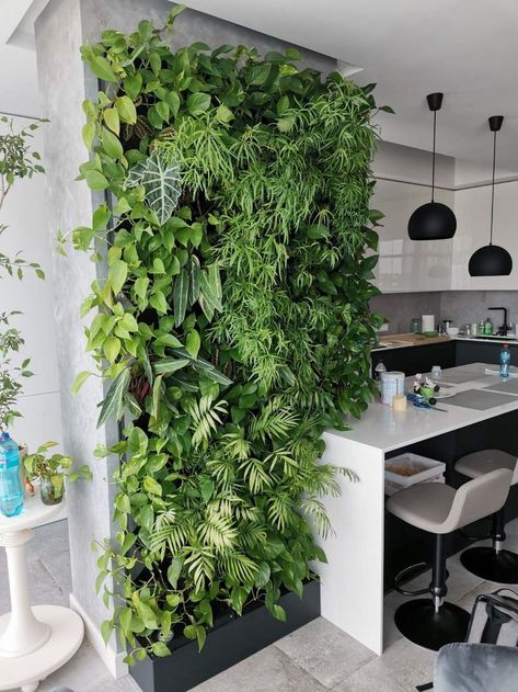 Indoor Plants Wall Decor, Plant Wall Ideas Indoor, Vertical Green Wall, Vertical Garden Plants, Vertical Wall Planter Pots, Indoor Plant Wall, Diy Balcony, Vertical Wall Planters, Vertical Garden Design