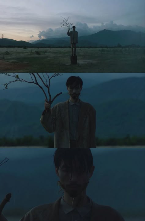 Filipino Cinematography, Lowkey Lighting Cinematography, Mexican Cinematography, Good Cinematography, Grey Cinematography, Cinematic Nature Photography, Fog Cinematography, Cold Cinematography, Forest Cinematography