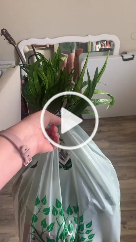 Dollar Tree Fake Plants Diy, Plant Diy, Fake Plants Decor, Diy Skirt, Mini Plants, Diy Plants, Fake Plants, Aragon, Dollar Tree Diy