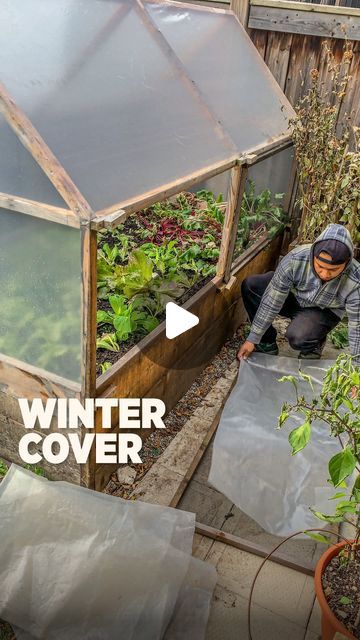 Char + Marv | Urban Garden on Instagram: "When you can quickly go from hot summer garden bed to cold winter protected bed, it makes a difference because you can extend a short growing season and harvest more food. This covered bed will offer protection to prevent our food supply for freezing up during the cold nights. #containergarden #gardenideas #gardenbed #gardeningtips" Covered Bed, Small House Design Plans, Cold Nights, Food Supply, Garden Bed, Bedding Plants, Home Design Plans, Raised Beds, Small House Design