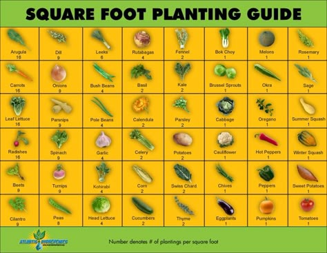 Square Foot Planting Guide printable here http://gardentherapy.ca/square-foot-planting-guide/ Square Foot Garden, Planting Guide, Raised Bed Gardening, نباتات منزلية, Kinds Of Vegetables, Pole Beans, Let It Grow, Future Garden, Square Foot Gardening