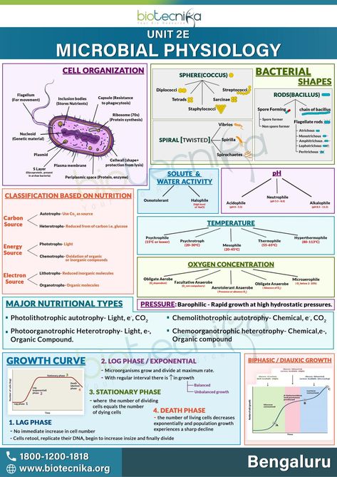 Microbil physiology Biology College, Learn Biology, Plasma Membrane, Cellular Respiration, Biomedical Science, Medical Laboratory Science, Laboratory Equipment, Pre Med, Medical Laboratory