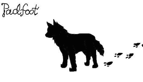 Padfoot Harry Potter Padfoot, Padfoot Tattoo, Sirius Black Tattoo Fanart, Padfoot Dog, Sirius Black With Tattoos, Sirius Black Dog Tattoo, Sirius Black Dog, Harry Potter Sirius, Potter Tattoo