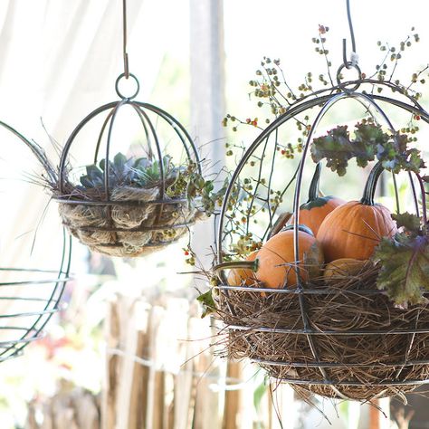 Fall Hanging Baskets, Fall Containers, Hanging Flower Baskets, Plants For Hanging Baskets, Fall Planters, Fall Outdoor, Fall Porch, Hanging Basket, Hanging Planters