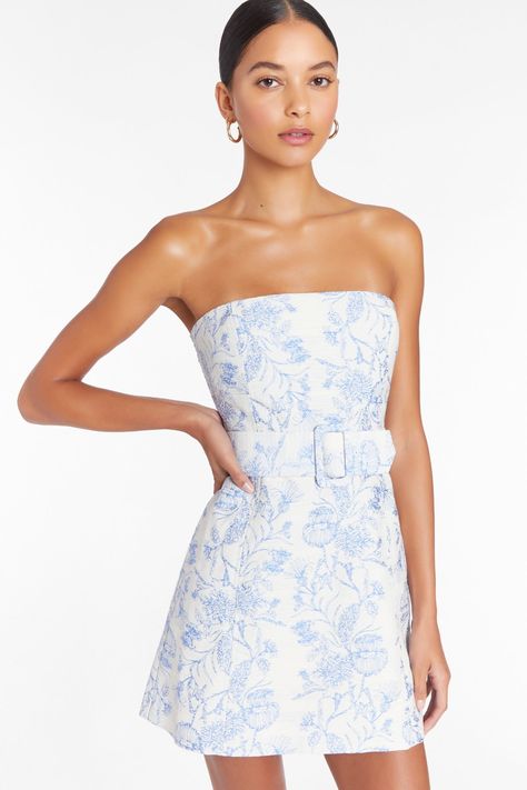 Fae Dress in Toile Brocade – Amanda Uprichard Fae Dress, Rush Outfits, Cute Formal Dresses, Recruitment Outfits, Rush Dresses, Amanda Uprichard, Grad Dresses, Blue Mini Dress, Hoco Dresses