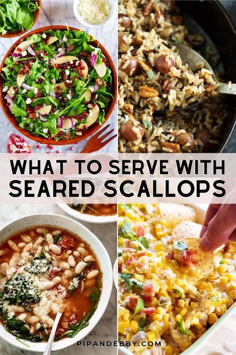 Collage of different foods to pair with scallops for dinner. Side Dishes For Scallops, Scallop Recipes Healthy, Easy Scallop Recipes, Scallops Salad, How To Cook Scallops, Easy Dinner Options, Seared Fish, Scallop Dishes, Pan Seared Scallops