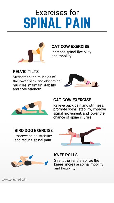 5 Exercises for Spinal Pain Spinal Strengthening Exercises, Spinal Extension Exercise, Spinal Canal Stenosis Exercises Exercises, L5 S1 Pain Relief Exercise, Spinal Mobility Exercises, Spinal Decompression Exercises, Spinal Canal Stenosis Exercises, Spine Strengthening Exercises, Spinal Exercises