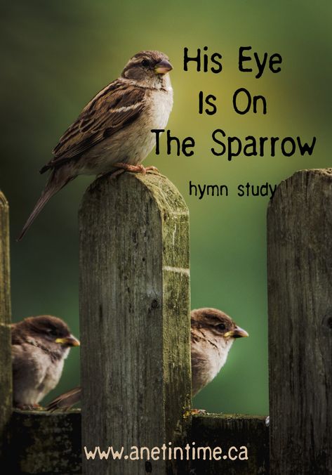 Sparrow Drawing, Hymn Music, Crop Field, Just A Thought, Be Not Dismayed, Luke 12, God Will Provide, Music Ideas, Jesus Is Life