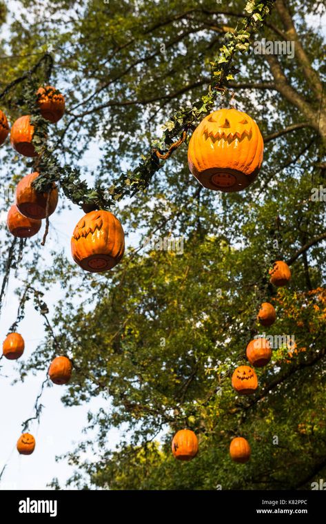 Lanterns In Trees, Jack O Lantern Decorations, Halloween Office Party, Smiling Pumpkin, Office Halloween Decorations, Office Halloween, Halloween Office, Castle Decor, Office Party Decorations