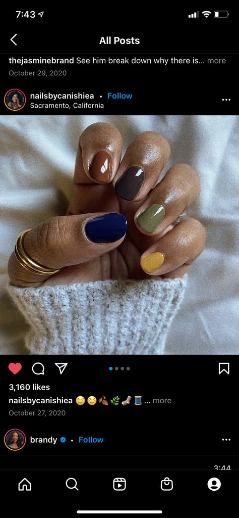 Fall Nails Dipping Powder, Dipped Nails Fall Colors, Cute Short Nail Colors, October Nails Fall Short Simple, Fall Different Color Nails, Fall Nail Color Palette, Fall Winter Nail Colors, Thanksgiving Nail Inspo Almond, Short Acrylic Nails Designs Halloween