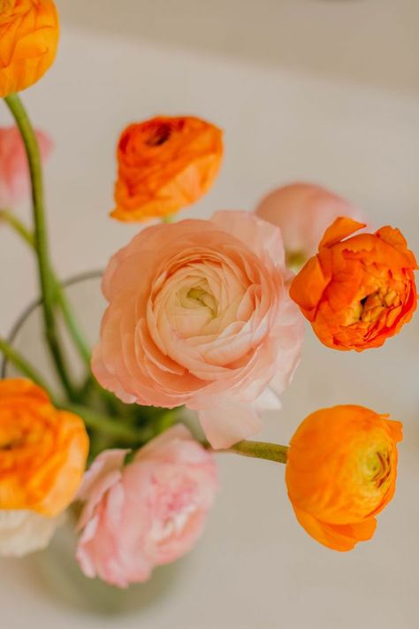 Pink And Orange Aesthetic, Make Your Own Bouquet, Tulips Orange, Bloom Bar, Peach Wedding Bouquet, Wrapped Bouquet, Stop Comparing Yourself To Others, Orange And Pink Wedding, Orange Ranunculus