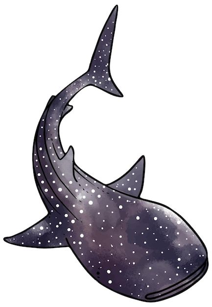 Shark Drawing Easy, Cute Whale Shark, Whale Shark Drawing, Shark Drawing, Cute Whale, Fabric Painting On Clothes, Surfboard Art, Cute Whales, Animal Graphic