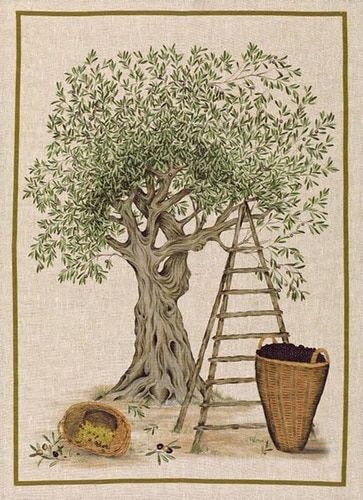 Olive Tree Painting, Flower Farmer, Green Towels, Still Life Drawing, Tarot Art, Tree Drawing, Olive Tree, Flower Lover, Life Drawing