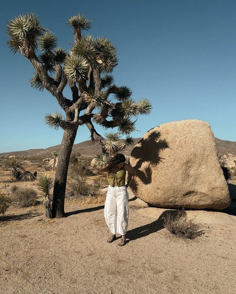 Joshua Tree: Where I found plants as awkwardly shaped as my life choices 🤣 I’m so grateful to my incredible clients and the Tress team for supporting me in living out my dream as a salon owner—especially for working around my travels so I can spend time with my Husband as we navigate long distance. Your understanding means the world to me, and it’s because of you that I can balance this wild journey, I can’t thank you all enough for all your love and support 🤍 Salon Owner, Nature Hike, Nature Hikes, Joshua Tree National Park, Life Choices, Love And Support, So Grateful, Joshua Tree, 16th Birthday