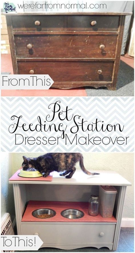 DIY Dresser Makeovers Food Storage Ideas, Cat Food Station, Dog Food Station, Cat Feeding Station, Pet Station, Chat Diy, Pet Feeding Station, Food Shelf, Dog Feeding Station